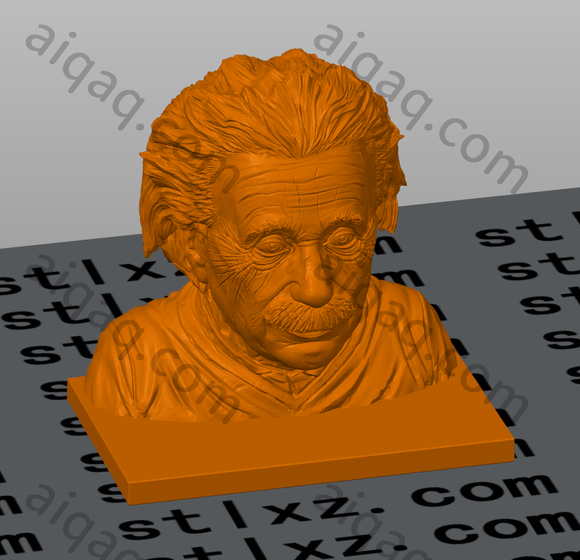 爱因斯坦USB和SD卡收纳器-STL下载网_3D打印模型网_3D打印机_3D模型库