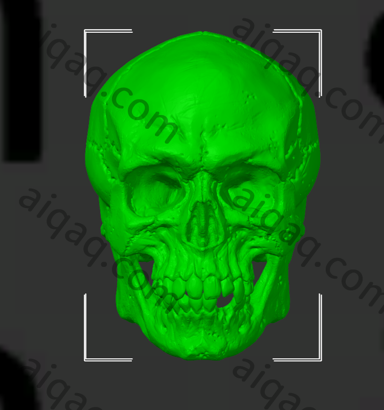 骷髅头-STL下载网_3D打印模型网_3D打印机_3D模型库